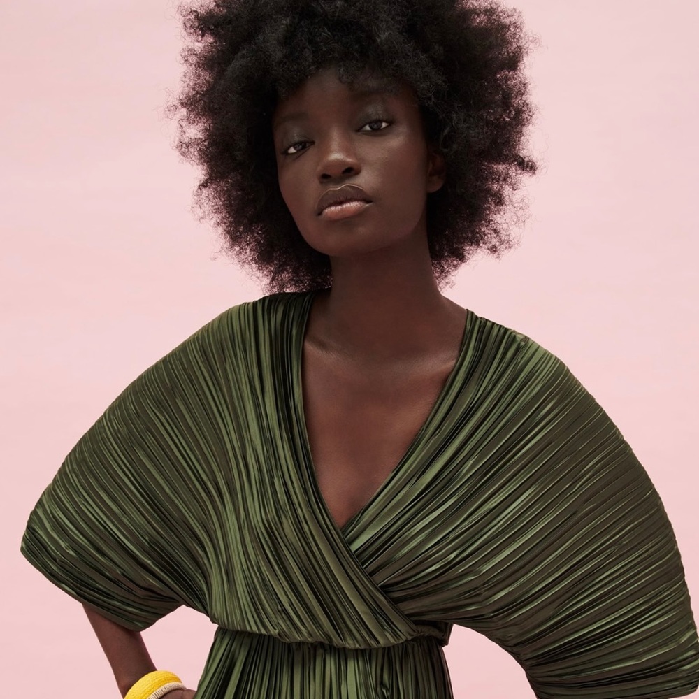 BLOGGERS FAV ZARA PLEATED CROPPED TOP